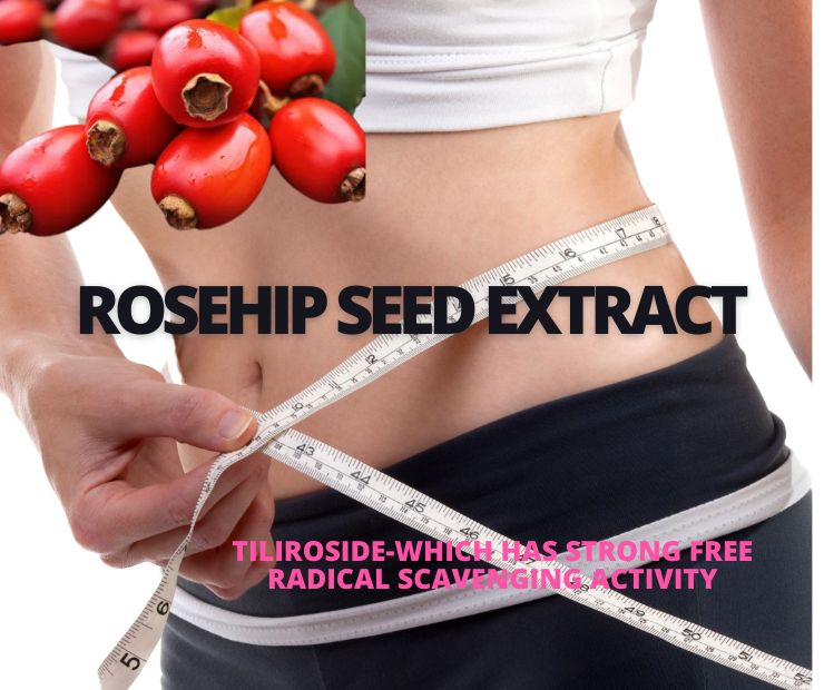 Rosehip seed extract 