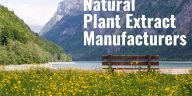 Natural Plant Extract Manufacturers