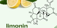 limonin