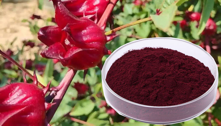 Roselle extract