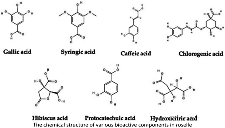The-chemical-structure-of-various-bioactive-components-in-roselle